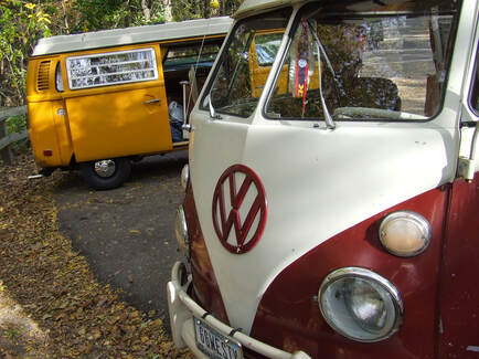Volkswagon buses sit in a parking lot on an autumn day